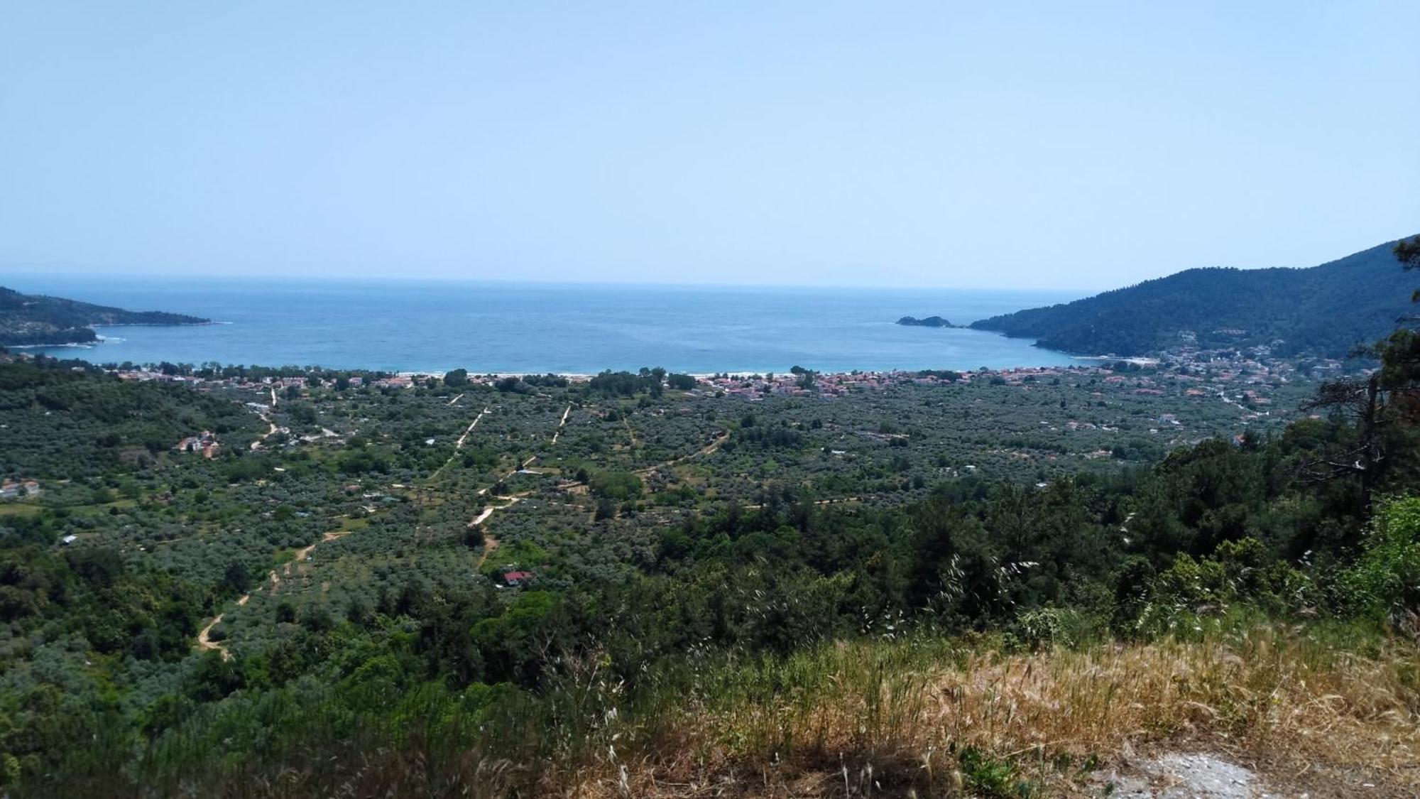 Harmony Studios & Apartments Skala Potamia  Bagian luar foto